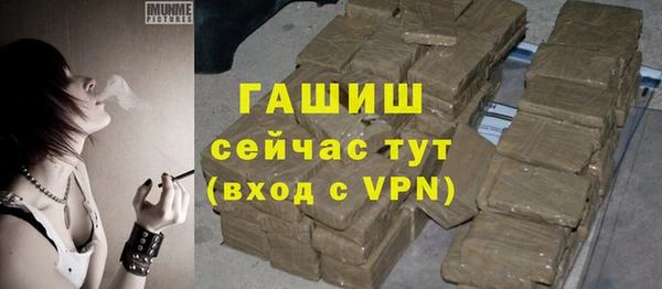 ешки Белокуриха