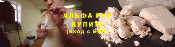 ешки Белокуриха