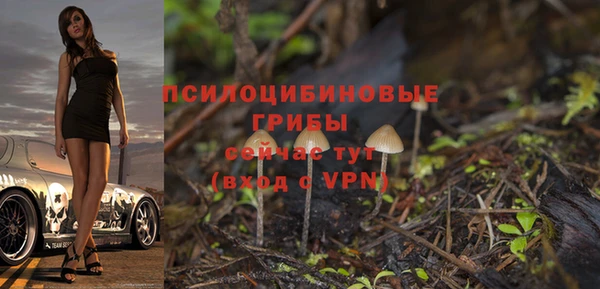mdpv Беломорск