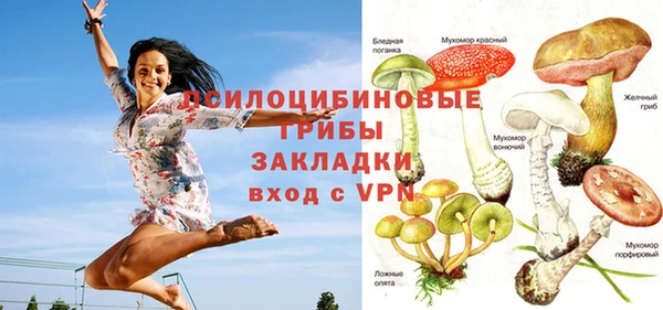 прущие крисы Снежинск